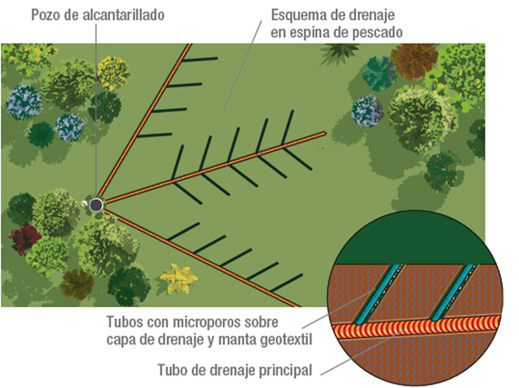 Problemas de drenaje en el jardn?